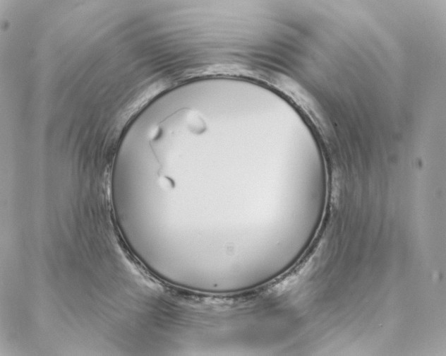 X0000088021241200706011316