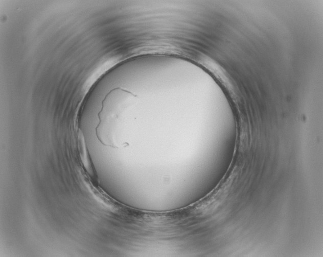 X0000088021242200706011316