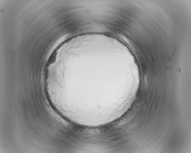 X0000088021243200706011316