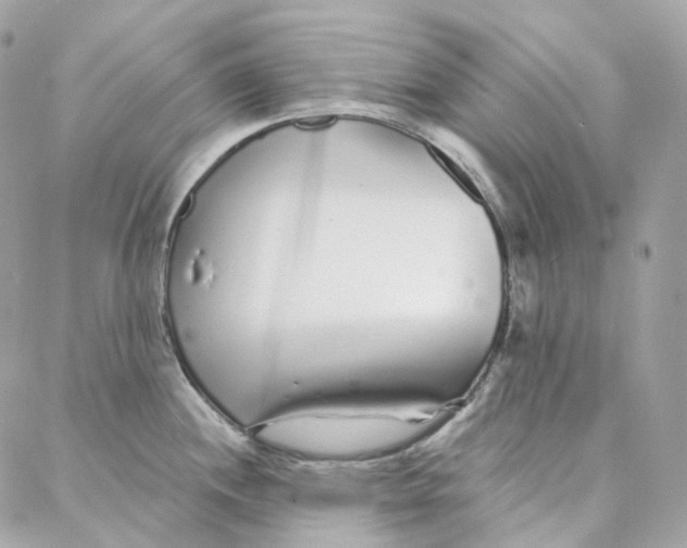 X0000088021244200706011316