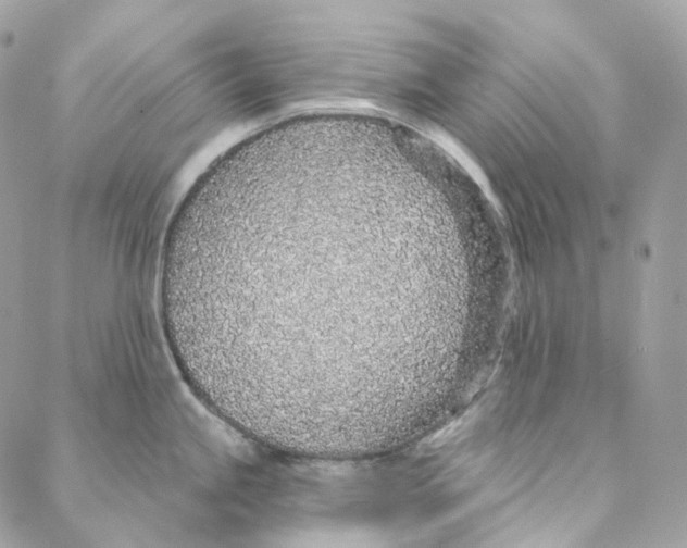 X0000088021245200706011316