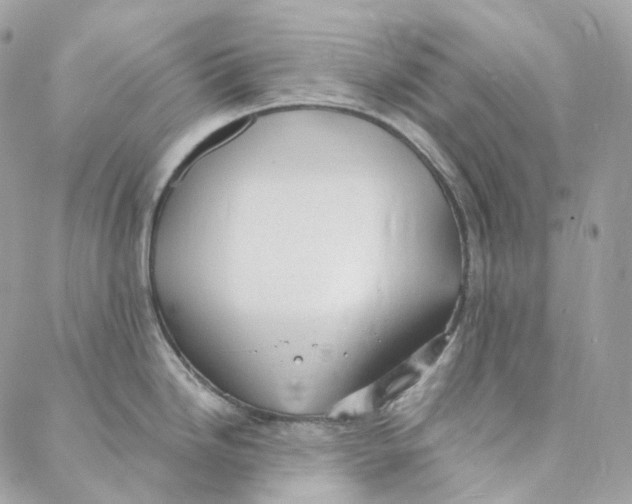 X0000088021246200706011316