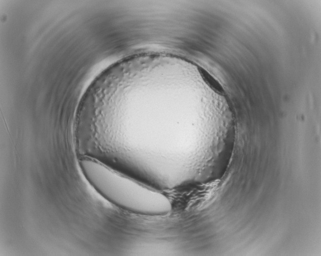 X0000088021247200706011316