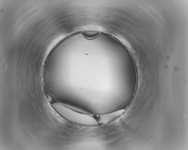 X0000088021248200706011316