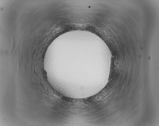 X0000088021249200706011315