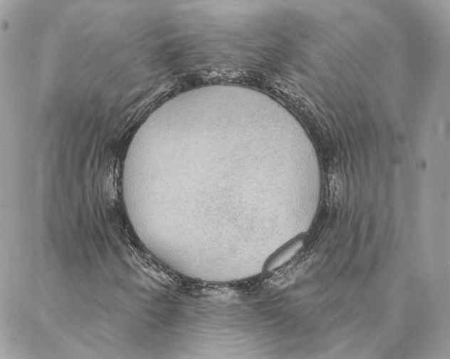 X0000088021250200706011315