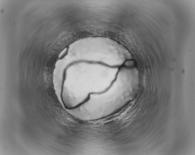 X0000088021251200706011315