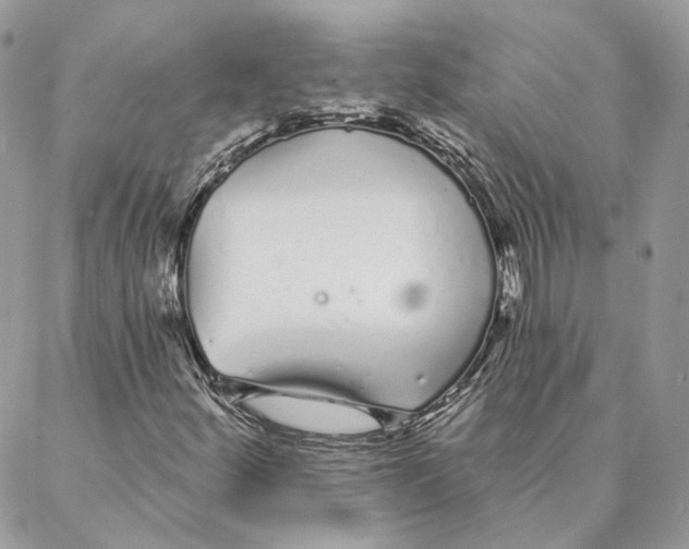 X0000088021252200706011315