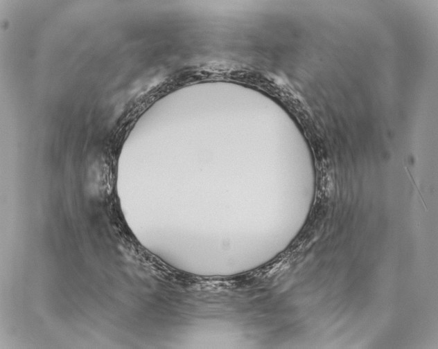 X0000088021253200706011315