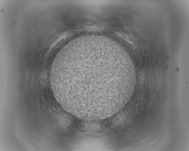 X0000088021254200706011315