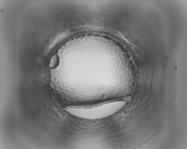 X0000088021255200706011315