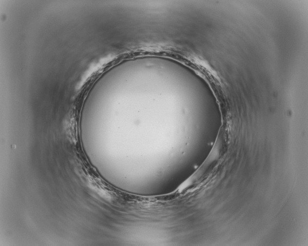 X0000088021256200706011315