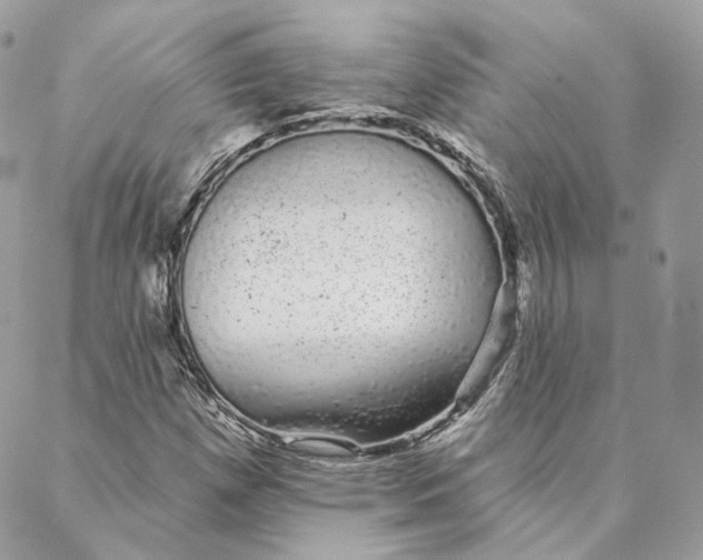 X0000088021257200706011315