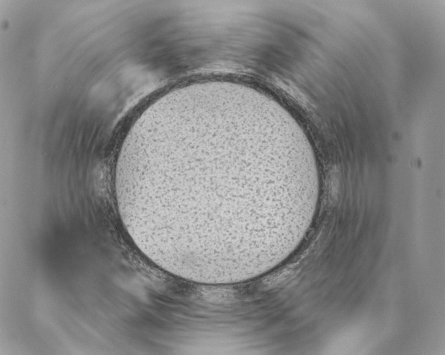 X0000088021258200706011315