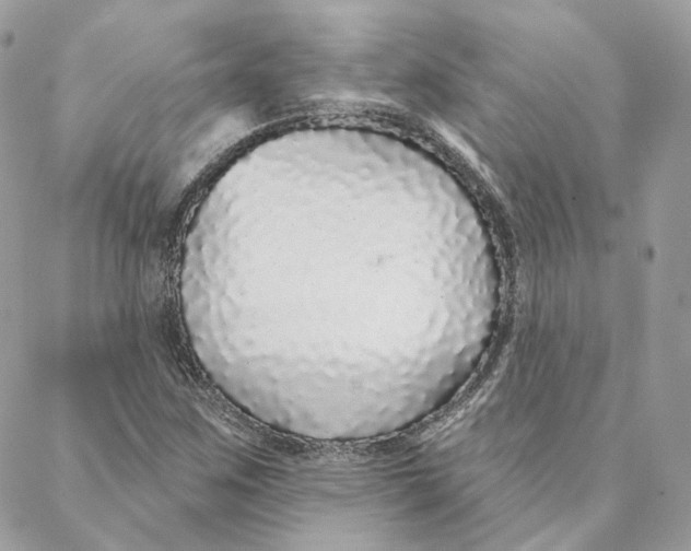 X0000088021259200706011315