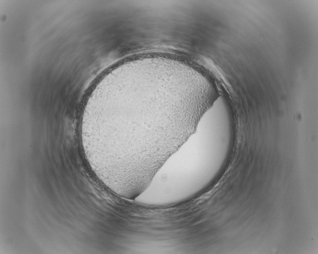 X0000088021260200706011315