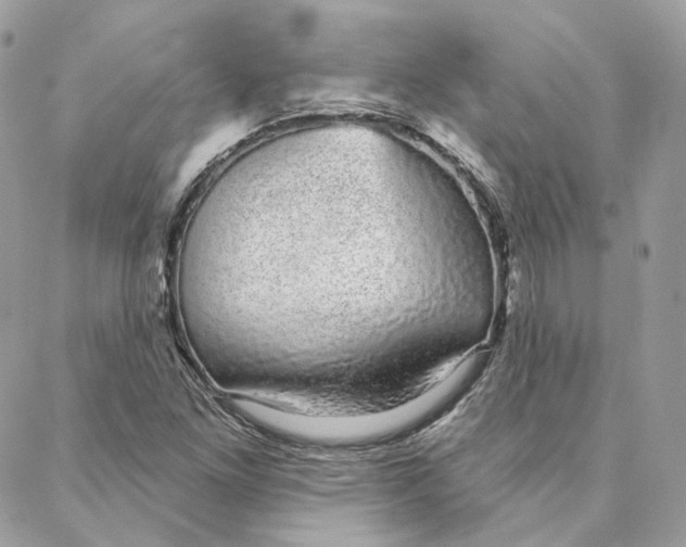 X0000088021261200706011315