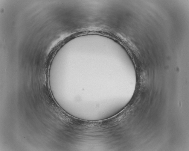 X0000088021262200706011315