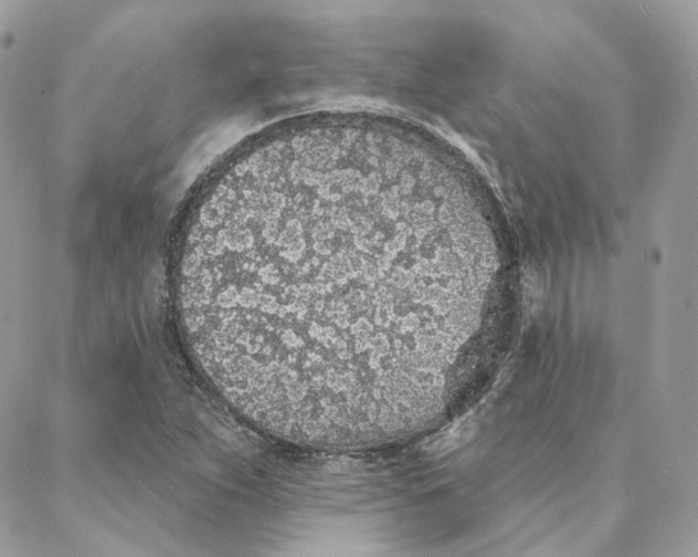 X0000088021263200706011315