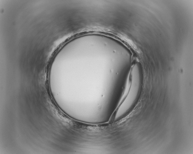 X0000088021264200706011315