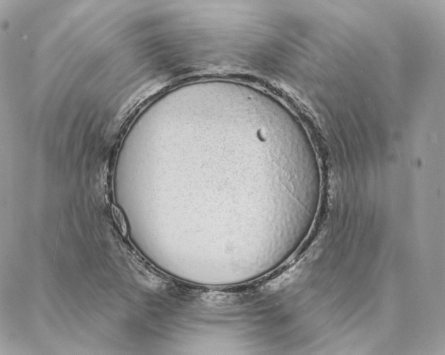 X0000088021265200706011315