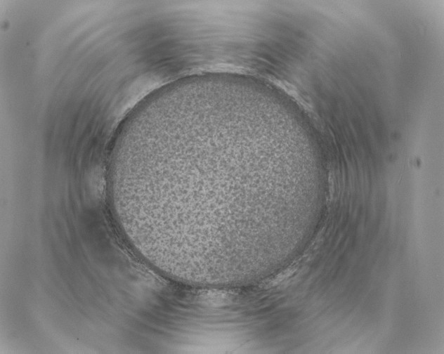 X0000088021266200706011315