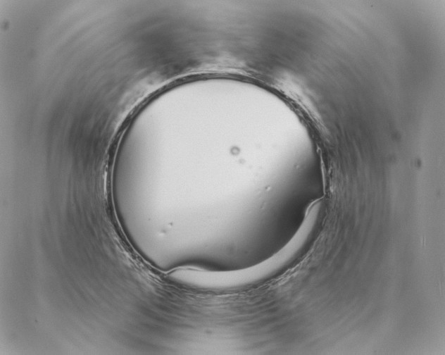 X0000088021268200706011315