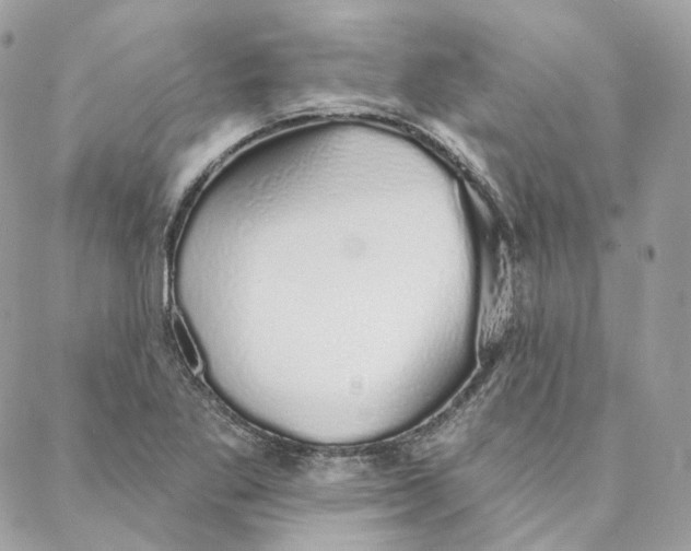 X0000088021269200706011315