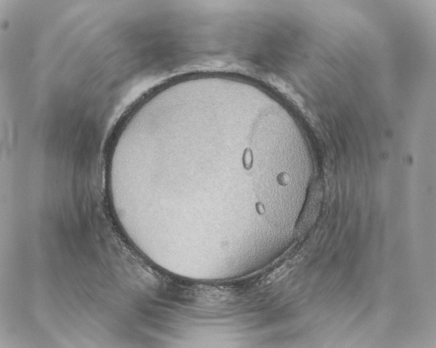 X0000088021270200706011315