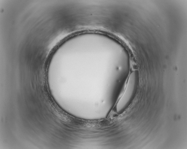 X0000088021271200706011315