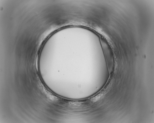 X0000088021272200706011315