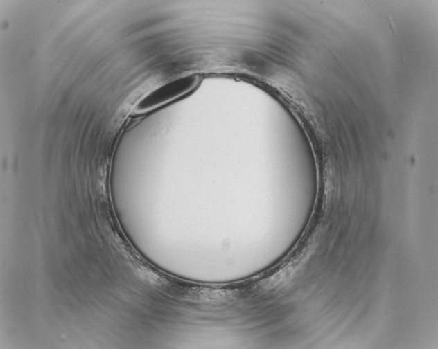 X0000088021273200706011315