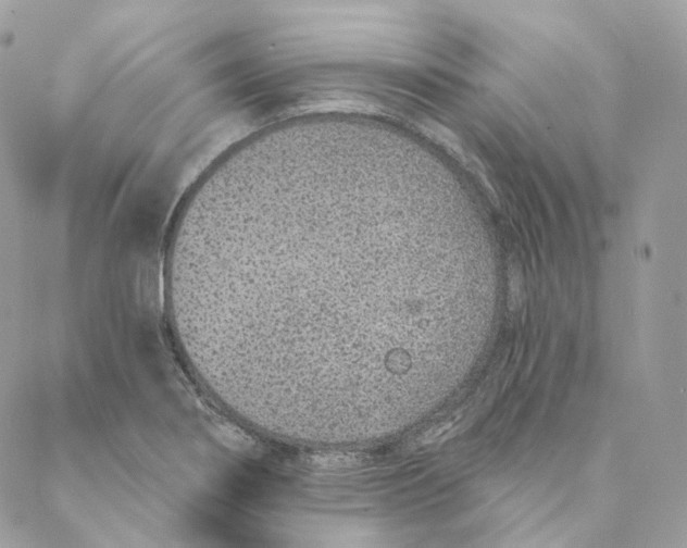 X0000088021274200706011315