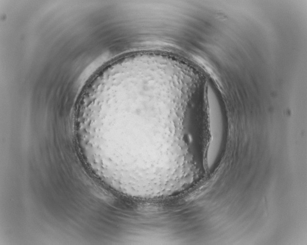 X0000088021275200706011315