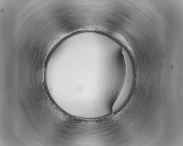 X0000088021276200706011315