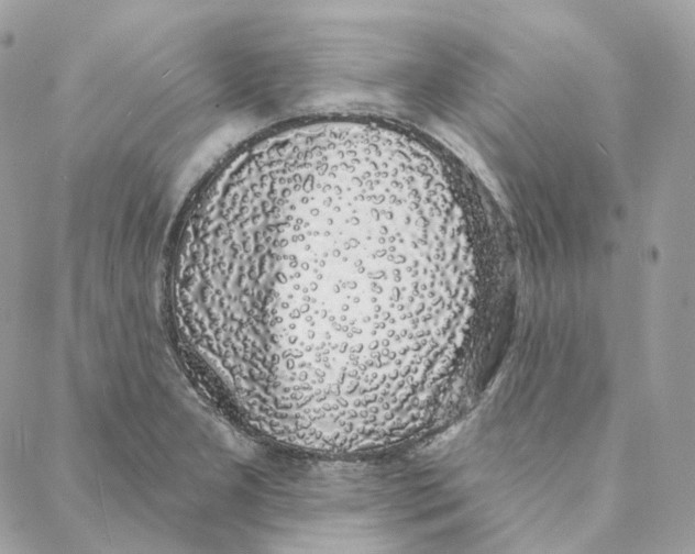 X0000088021277200706011315