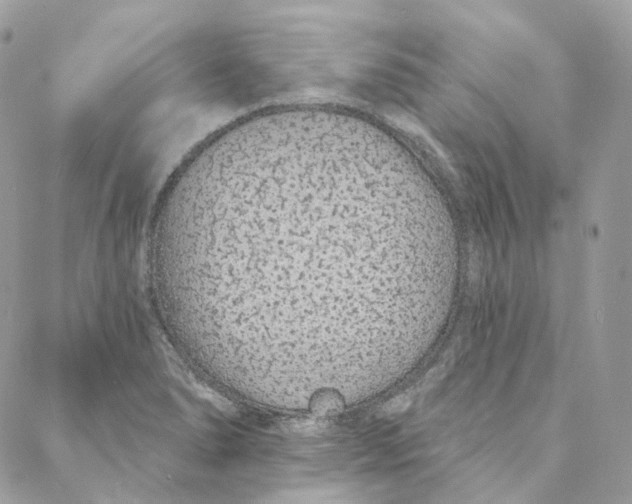 X0000088021278200706011315