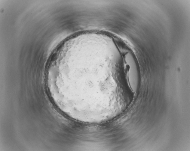 X0000088021279200706011315