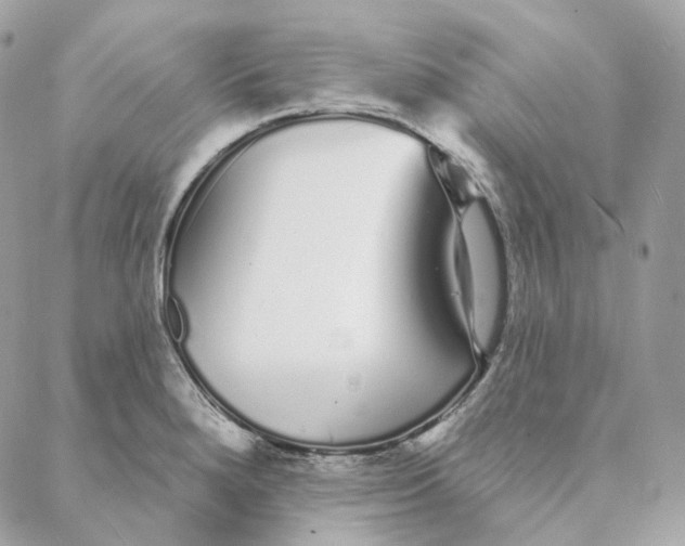 X0000088021280200706011315