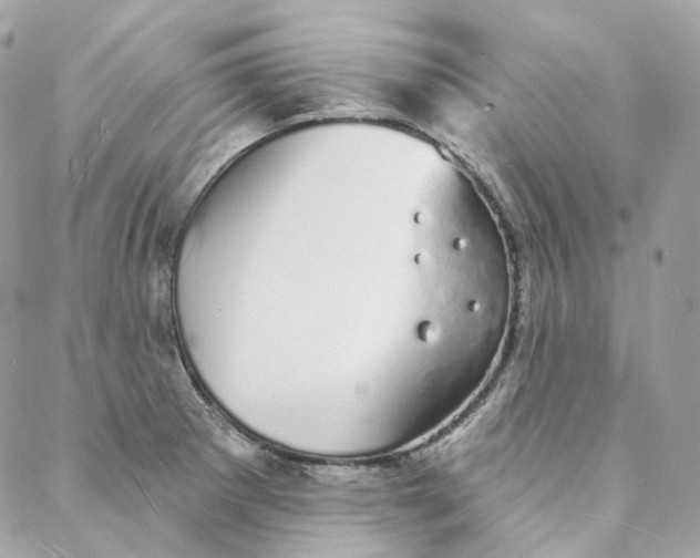 X0000088021281200706011315