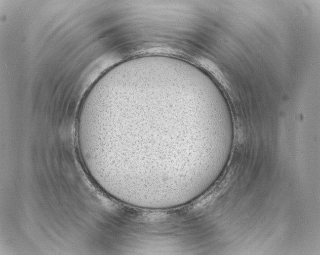 X0000088021282200706011315