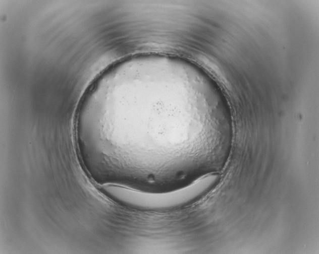 X0000088021283200706011315