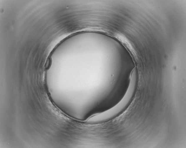 X0000088021284200706011315