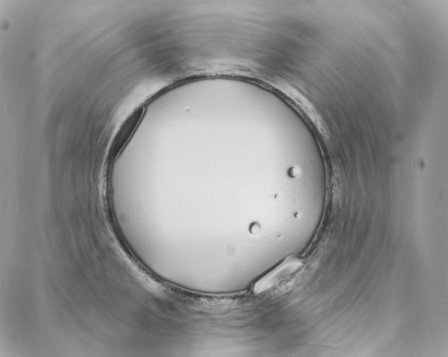 X0000088021285200706011315