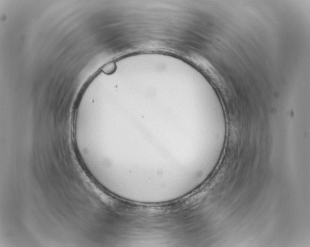 X0000088021286200706011315