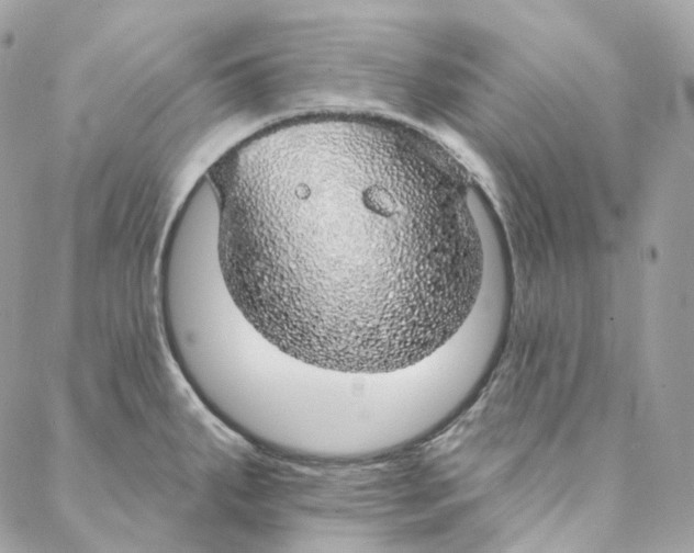 X0000088021287200706011315