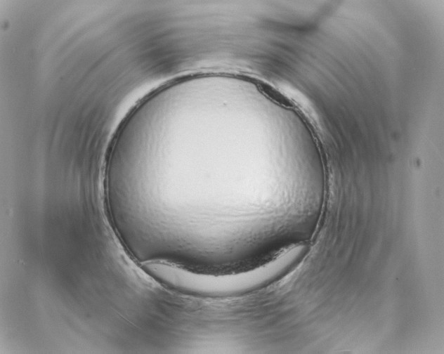 X0000088021288200706011315