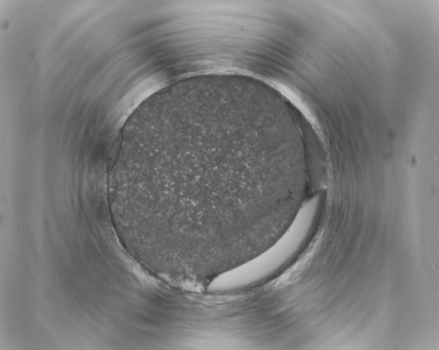 X0000088021289200706011315