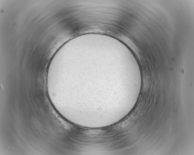 X0000088021290200706011315