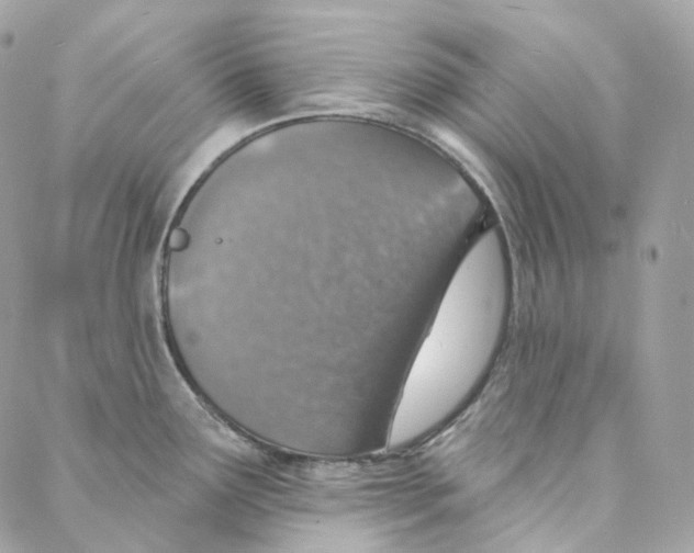 X0000088021291200706011315